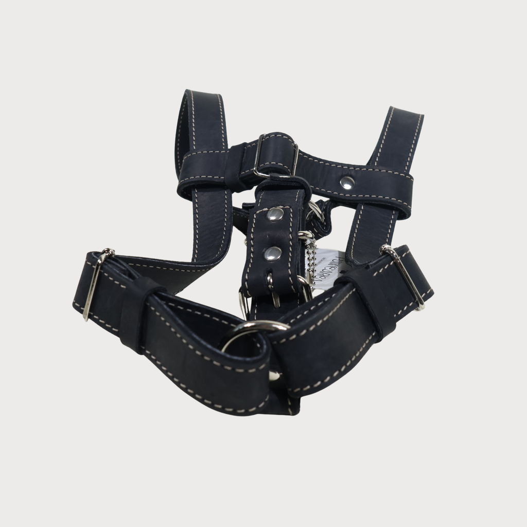 Luxury Leather Dog Harness – PAWEAREA