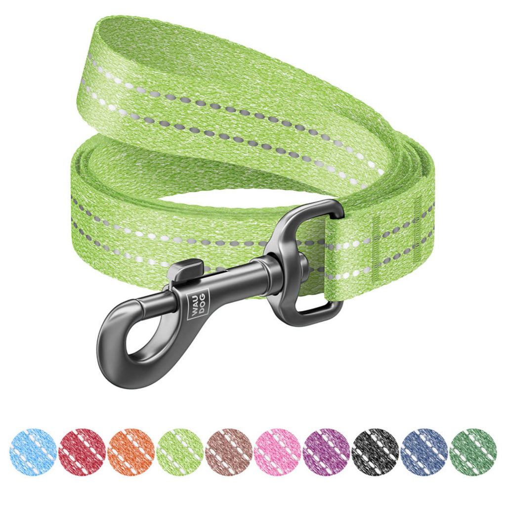 WAUDOG Re-cotton Reflective Dog Leash - Light green