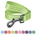 WAUDOG Re-cotton Reflective Dog Leash - Light green