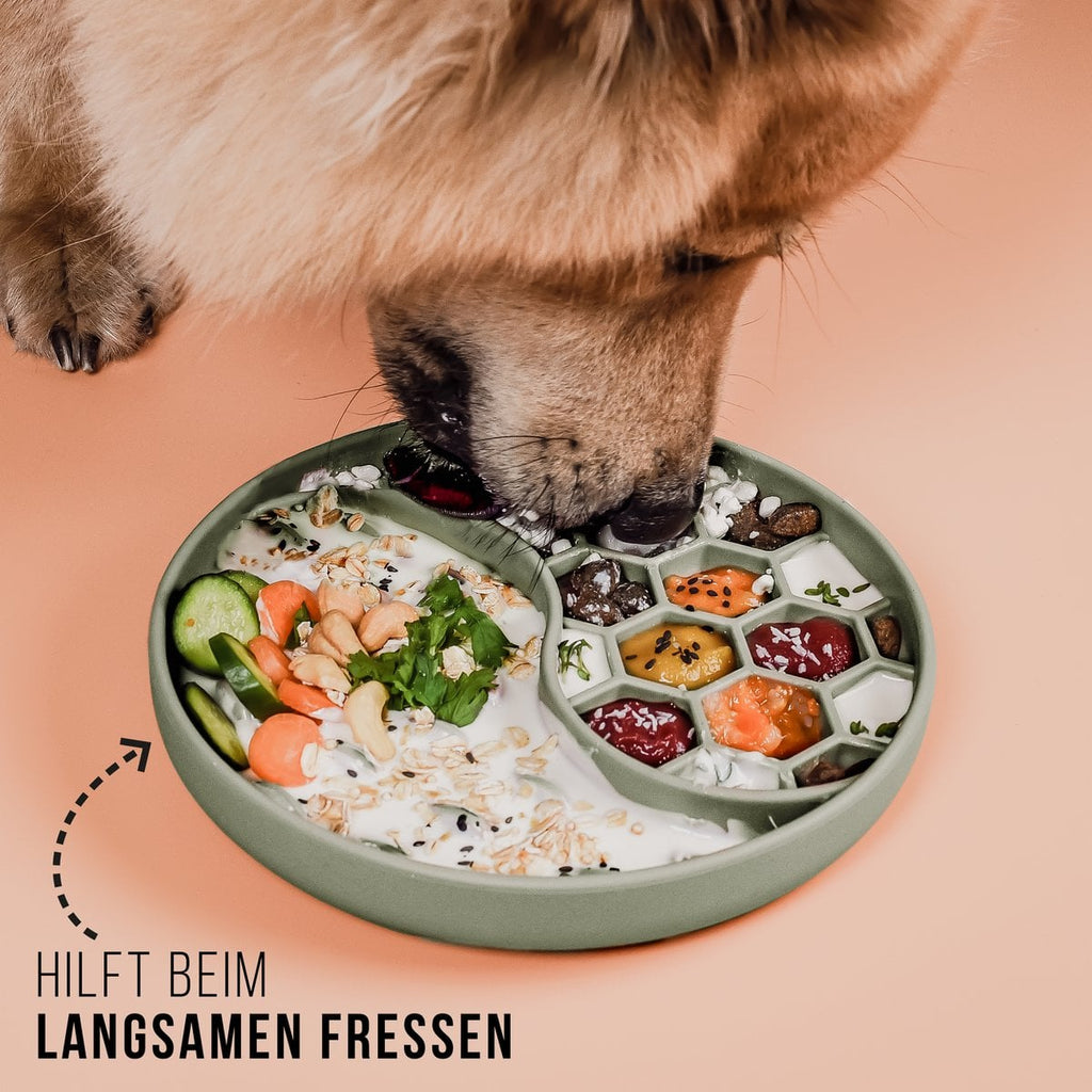 Anti-sling bowl for dogs and cats