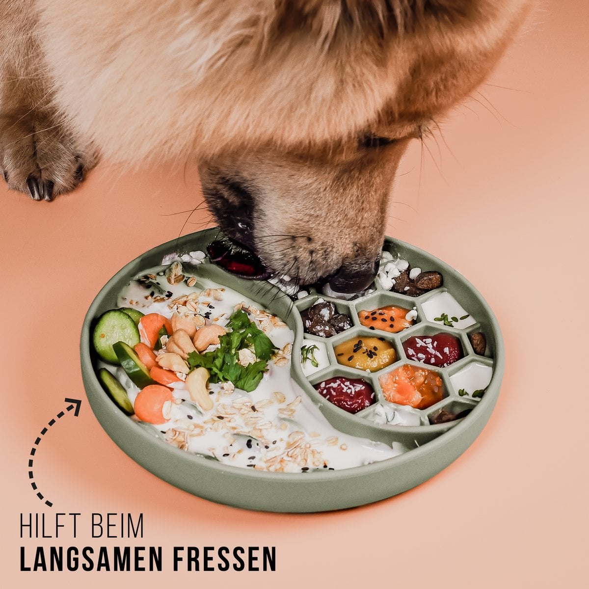 Anti-sling bowl for dogs and cats