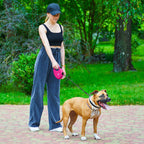 WAUDOG Nylon Dog Leash - Pink