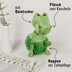 Hundespielzeug Plüsch mit Quietscher & Kauelement – Dinosaurier