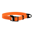 EVOLUTOR Adjustable Dog Collar - Orange