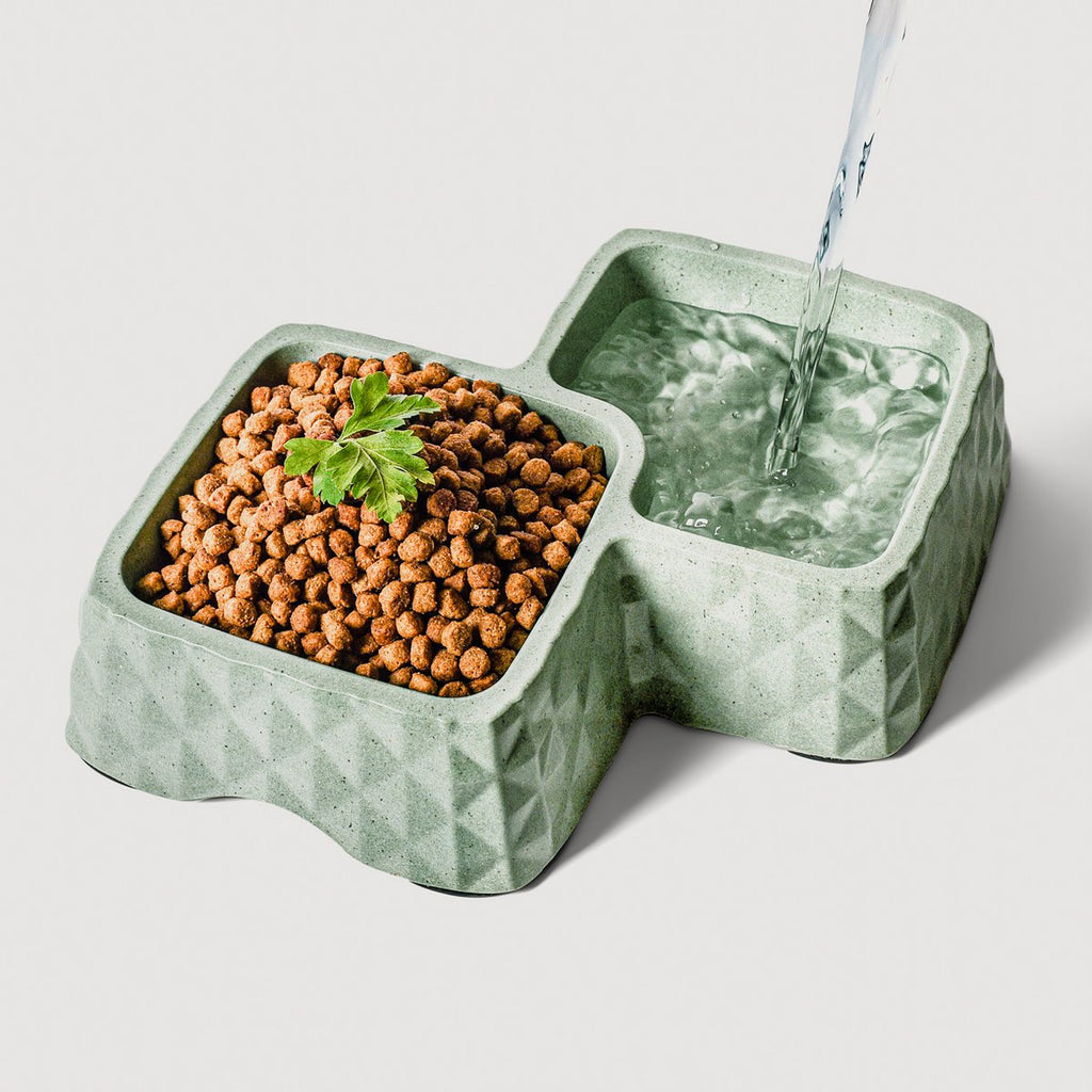 Bamboo Double Bowl for Cats & Small Dogs