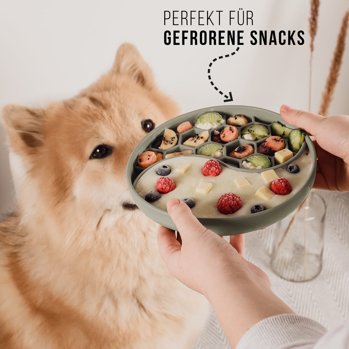 Anti-sling bowl for dogs and cats