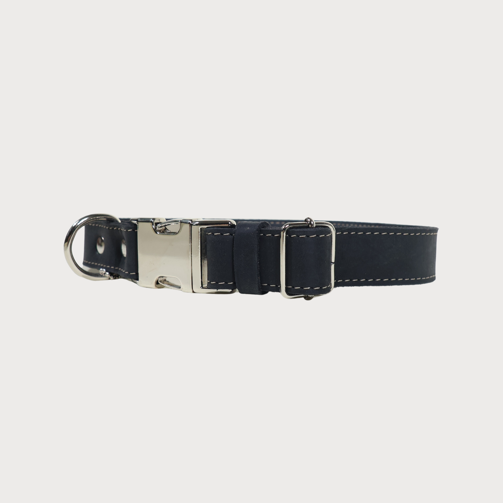 Luxury Leather Dog Collar – PAWEAREA