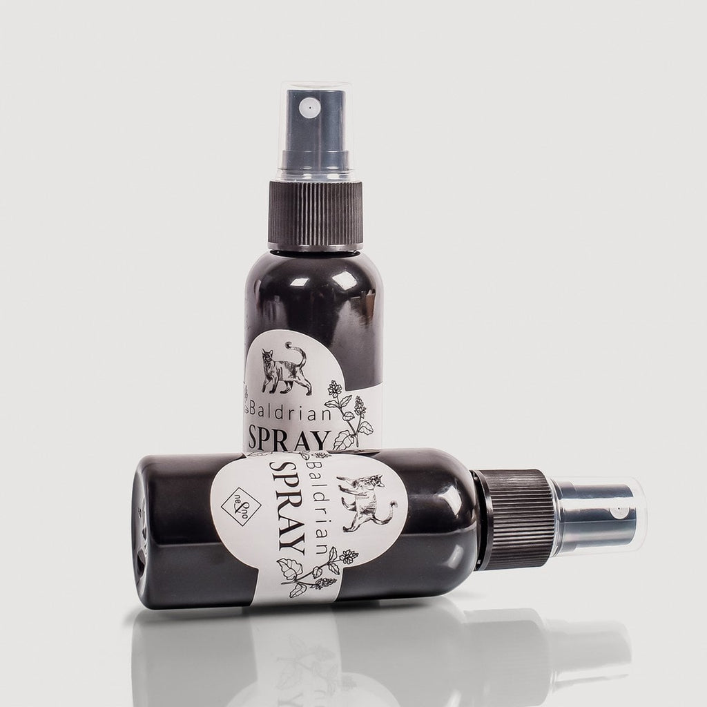 Juego de regalo de bienestar para gatos – Hierba gatera, spray de valeriana y palitos de matatabi