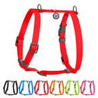 WAUDOG Waterproof Dog H-Harness with QR Passport - Red