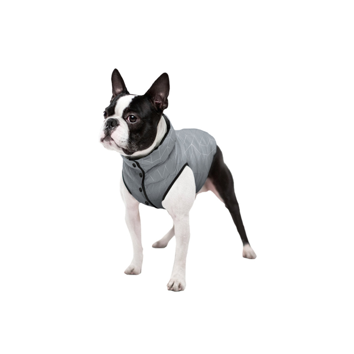 WAUDOG Clothes Dog Jacket - Reflective