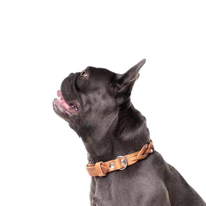 Gedrehtes Hundehalsband – Kamelfarbe