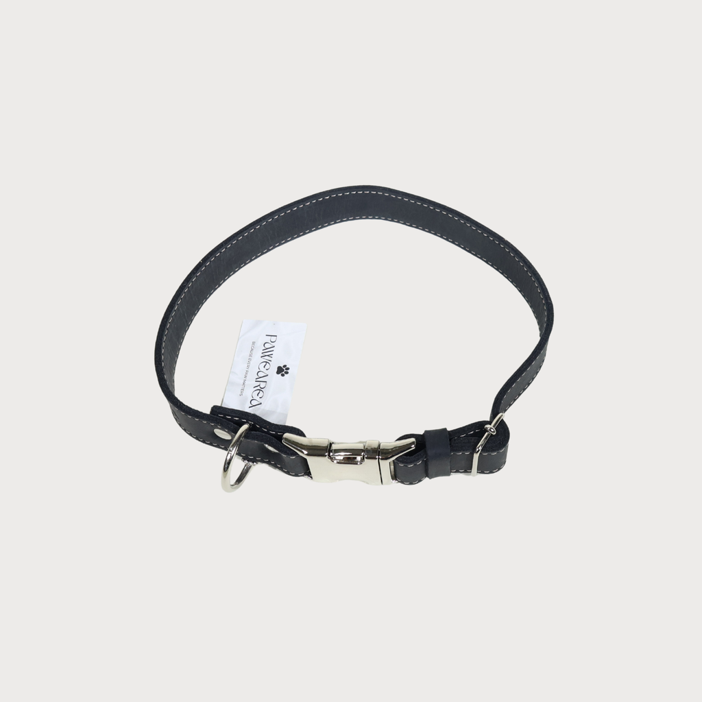 Luxury Leather Dog Collar – PAWEAREA