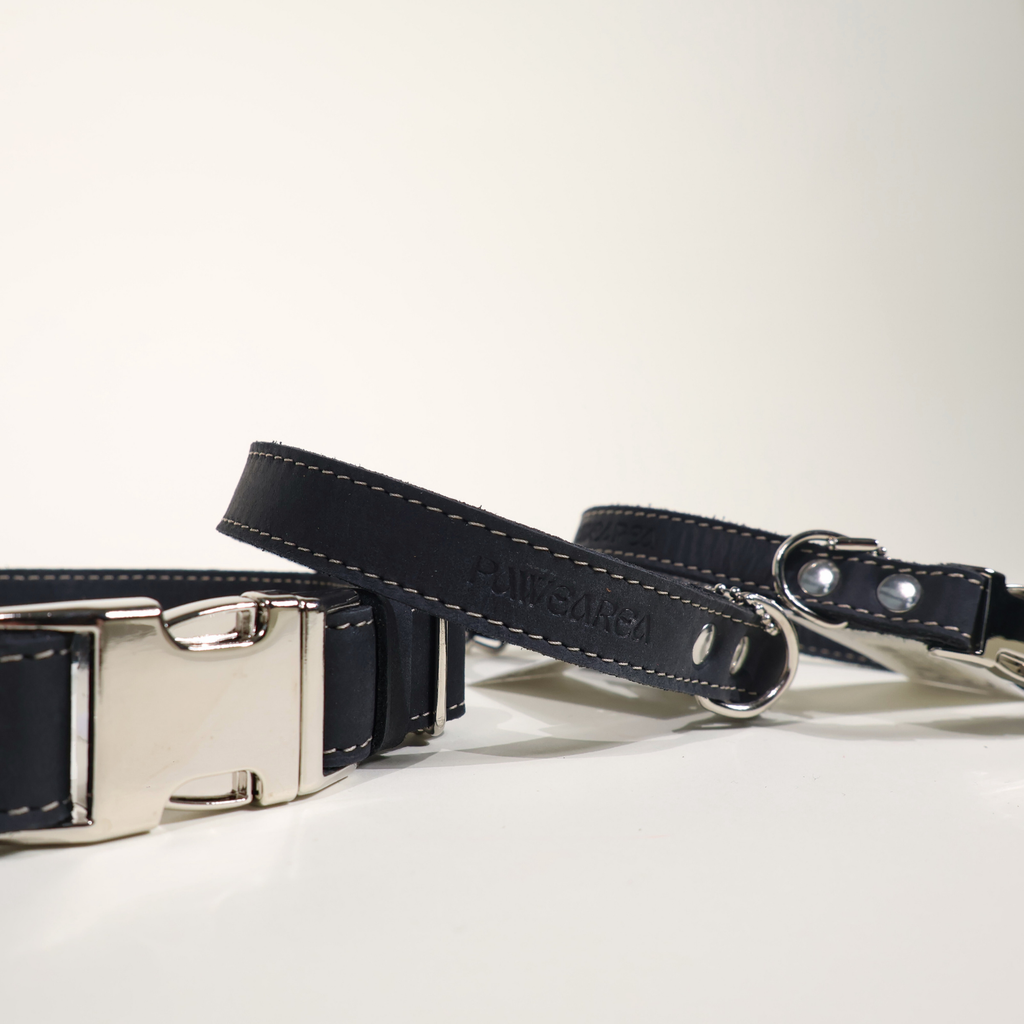 Luxury Leather Dog Collar – PAWEAREA