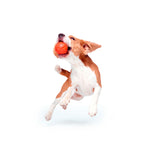 LIKER Pelota para perros – Juguete flotante ligero para perros activos