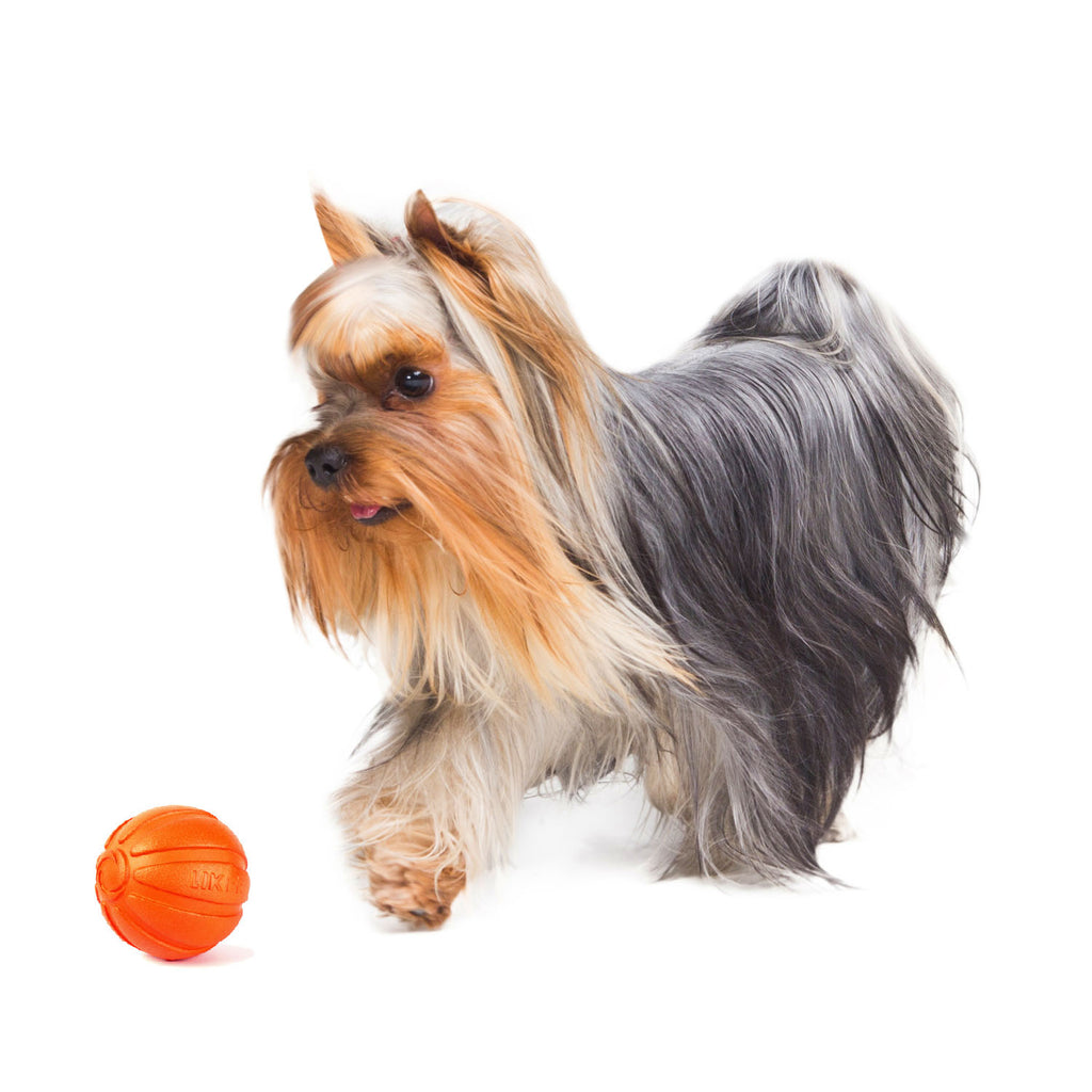 LIKER Pelota para perros – Juguete flotante ligero para perros activos