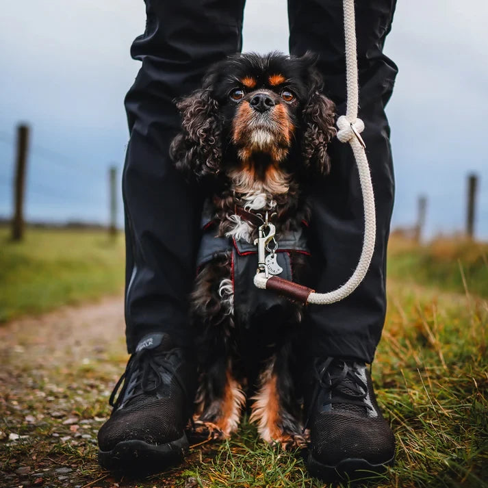 Adjustable Cotton Rope Dog Leash (Ecru)