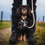 Adjustable Cotton Rope Dog Leash (Ecru)