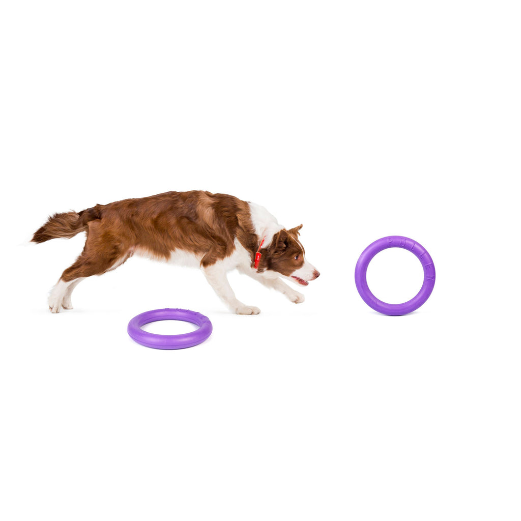 Juego de anillas de adiestramiento PULLER Midi para perros – Juguete de fitness versátil para perros medianos