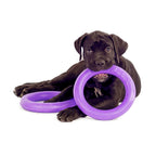 Juego de anillas de adiestramiento PULLER Midi para perros – Juguete de fitness versátil para perros medianos