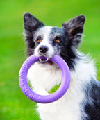 Juego de anillas de adiestramiento PULLER Midi para perros – Juguete de fitness versátil para perros medianos