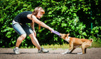 Juego de anillas de adiestramiento PULLER Midi para perros – Juguete de fitness versátil para perros medianos