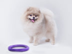 Juego de Anillos de Entrenamiento para Perros PULLER Micro – Juguete de Fitness Ultraligero para Cachorros y Razas Pequeñas