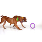 Juego de Anillos PULLER Estándar para Entrenamiento de Perros – Juguete Profesional de Fitness para Perros Medianos y Grandes