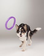 Juego de Anillos PULLER Estándar para Entrenamiento de Perros – Juguete Profesional de Fitness para Perros Medianos y Grandes