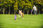 Juego de Anillos PULLER Estándar para Entrenamiento de Perros – Juguete Profesional de Fitness para Perros Medianos y Grandes
