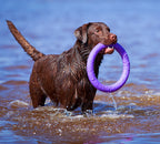 Juego de Anillos PULLER Estándar para Entrenamiento de Perros – Juguete Profesional de Fitness para Perros Medianos y Grandes