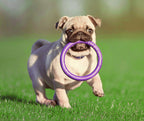 Juego de aros de entrenamiento PULLER Mini para perros – Juguete ligero de fitness para perros pequeños y cachorros