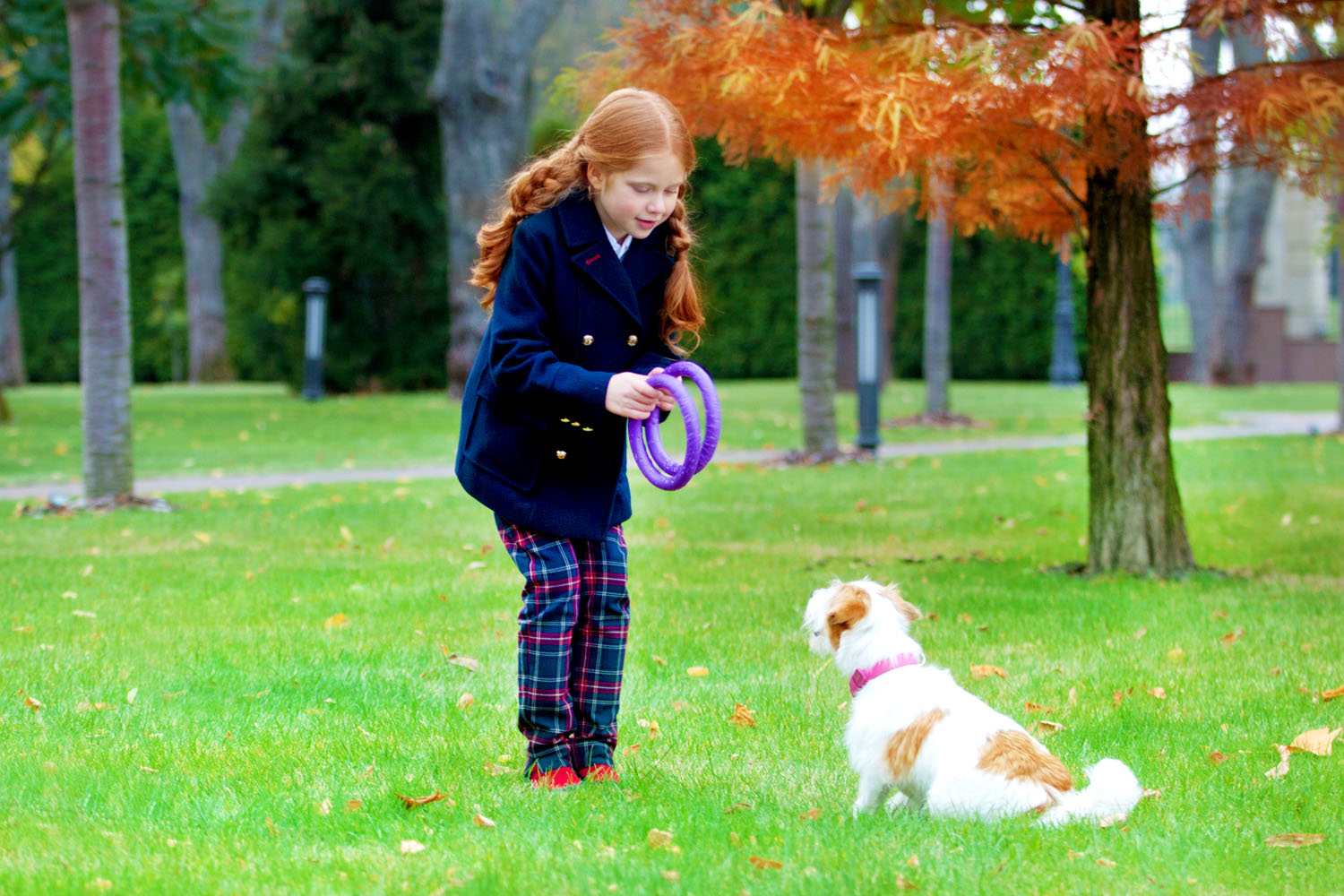 Juego de aros de entrenamiento PULLER Mini para perros – Juguete ligero de fitness para perros pequeños y cachorros