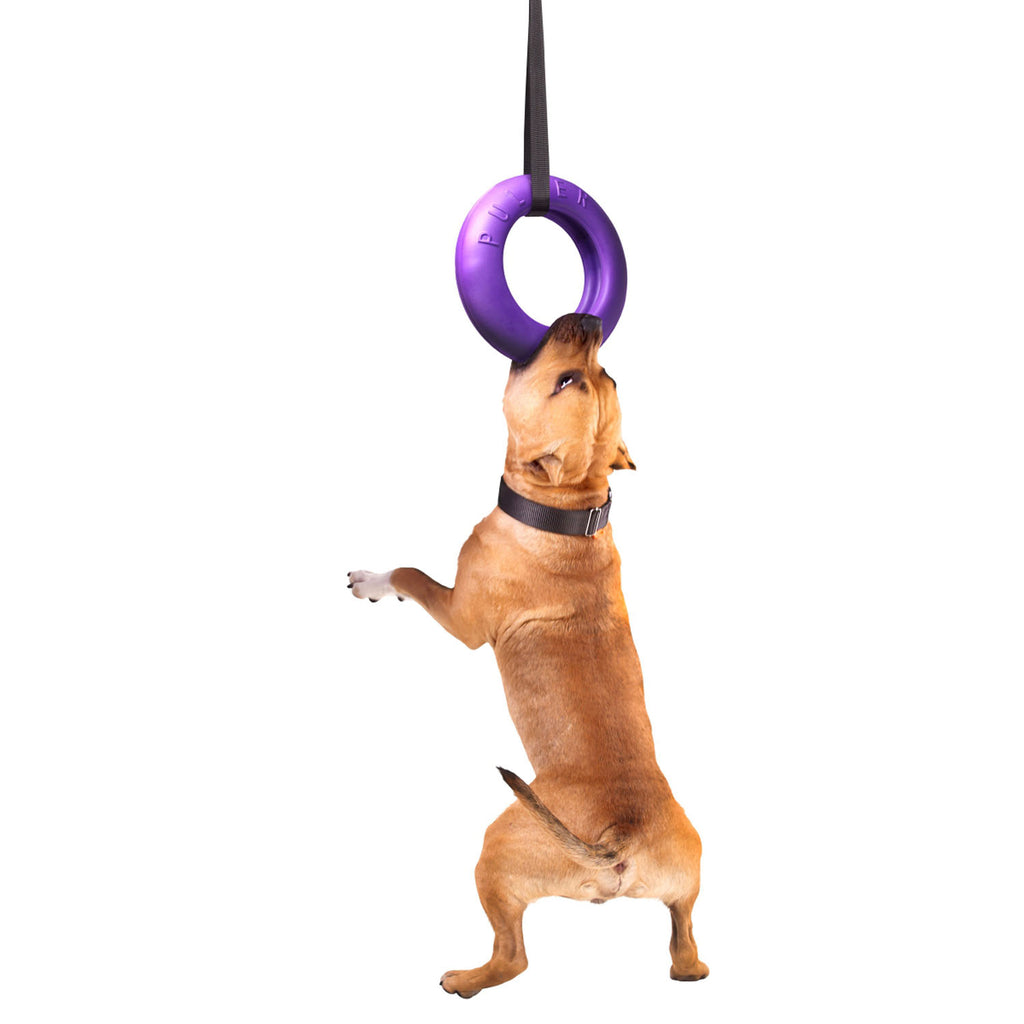 Juego de Anillos de Entrenamiento para Perros PULLER Maxi – Juguete Profesional de Fitness para Perros Grandes
