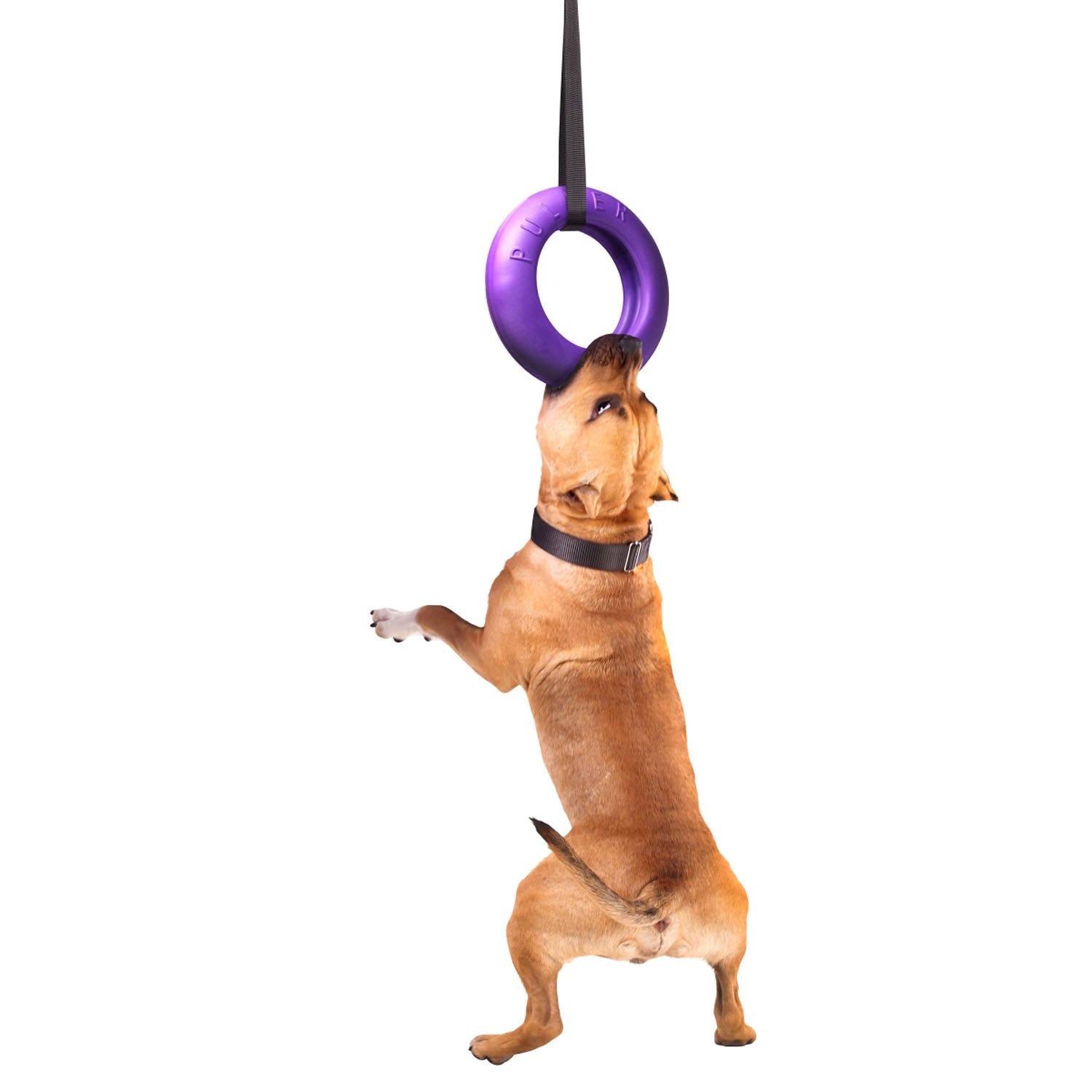 Juego de Anillos de Entrenamiento para Perros PULLER Maxi – Juguete Profesional de Fitness para Perros Grandes