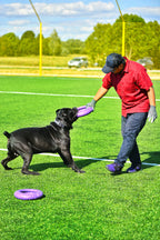 Juego de Anillos de Entrenamiento para Perros PULLER Maxi – Juguete Profesional de Fitness para Perros Grandes