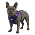 WAUDOG Mesh Breathable Dog Harness with QR Pet Tag - NASA21