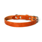 Hundehalsband aus Leder – Farbe Kamel