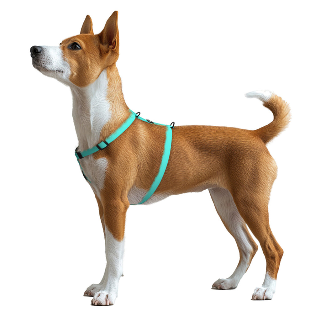 WAUDOG Magnet Dog H-Harness with QR Passport - Tiffany