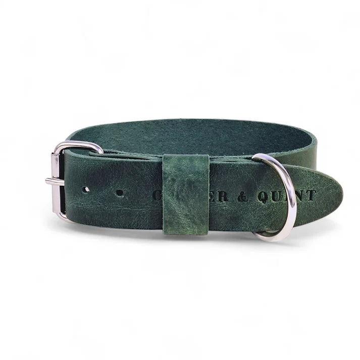 Hundehalsband – Breites Leder (kräftiges Grün)
