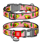 WAUDOG Nylon Dog Collar with QR Passport - Avocado on pink