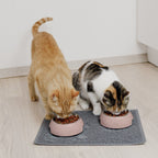 Futternapf - 2er Set - für Hunde und Katzen - Rose