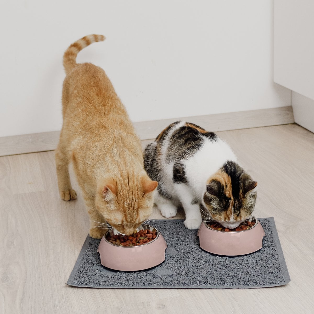 Futternapf - 2er Set - für Hunde und Katzen - Rose