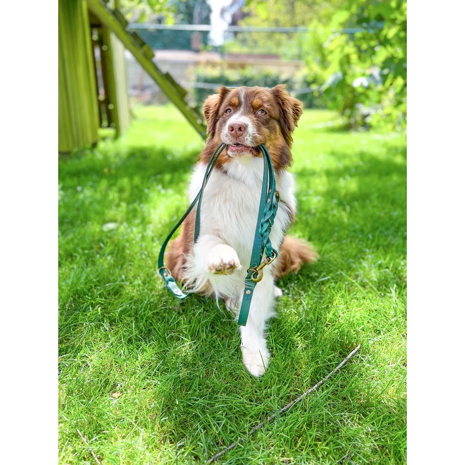 Verstellbares verdrehtes Hundehalsband aus Leder – Grün