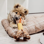 Juguete para Perro – Jirafa de Peluche con Sonajero