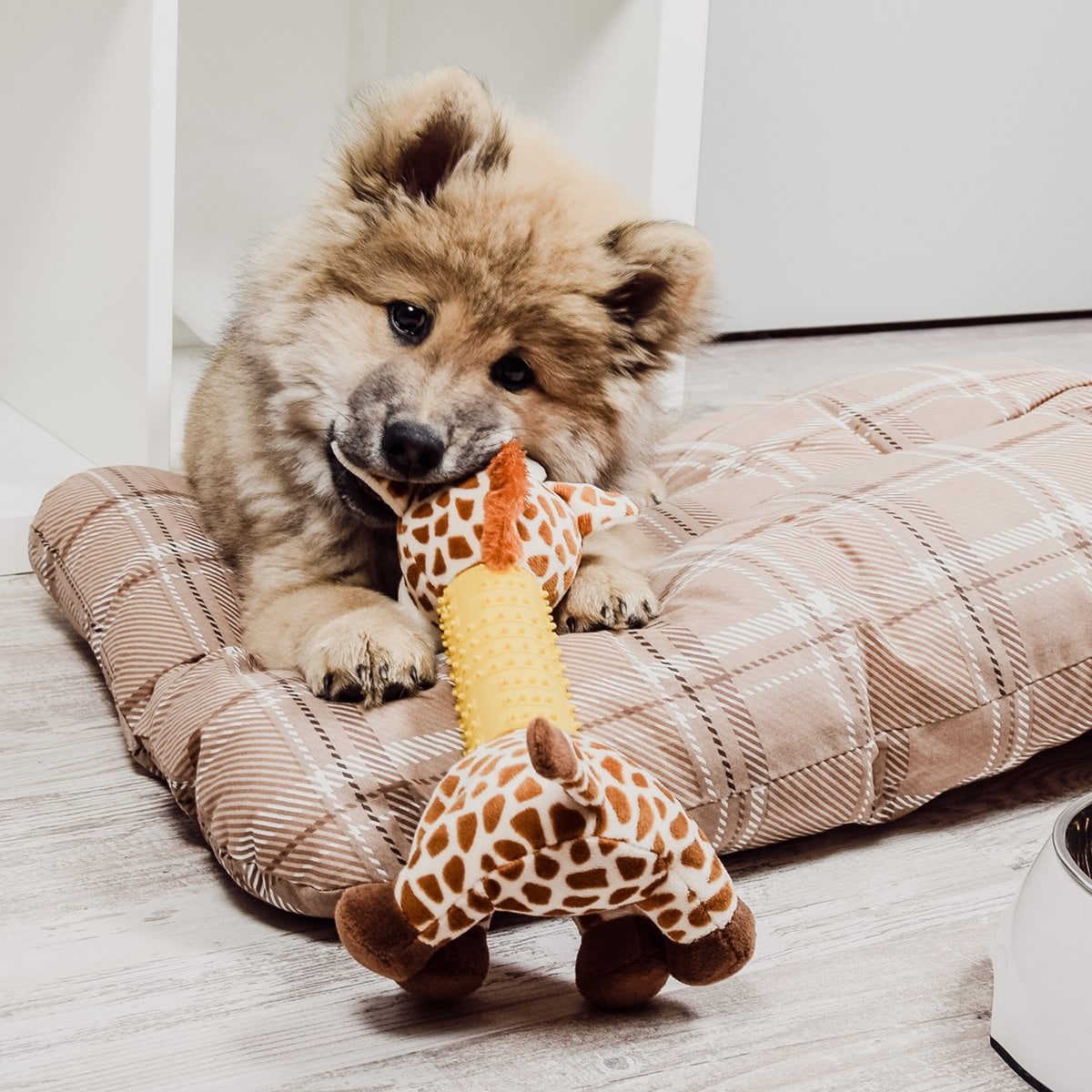 Juguete para Perro – Jirafa de Peluche con Sonajero