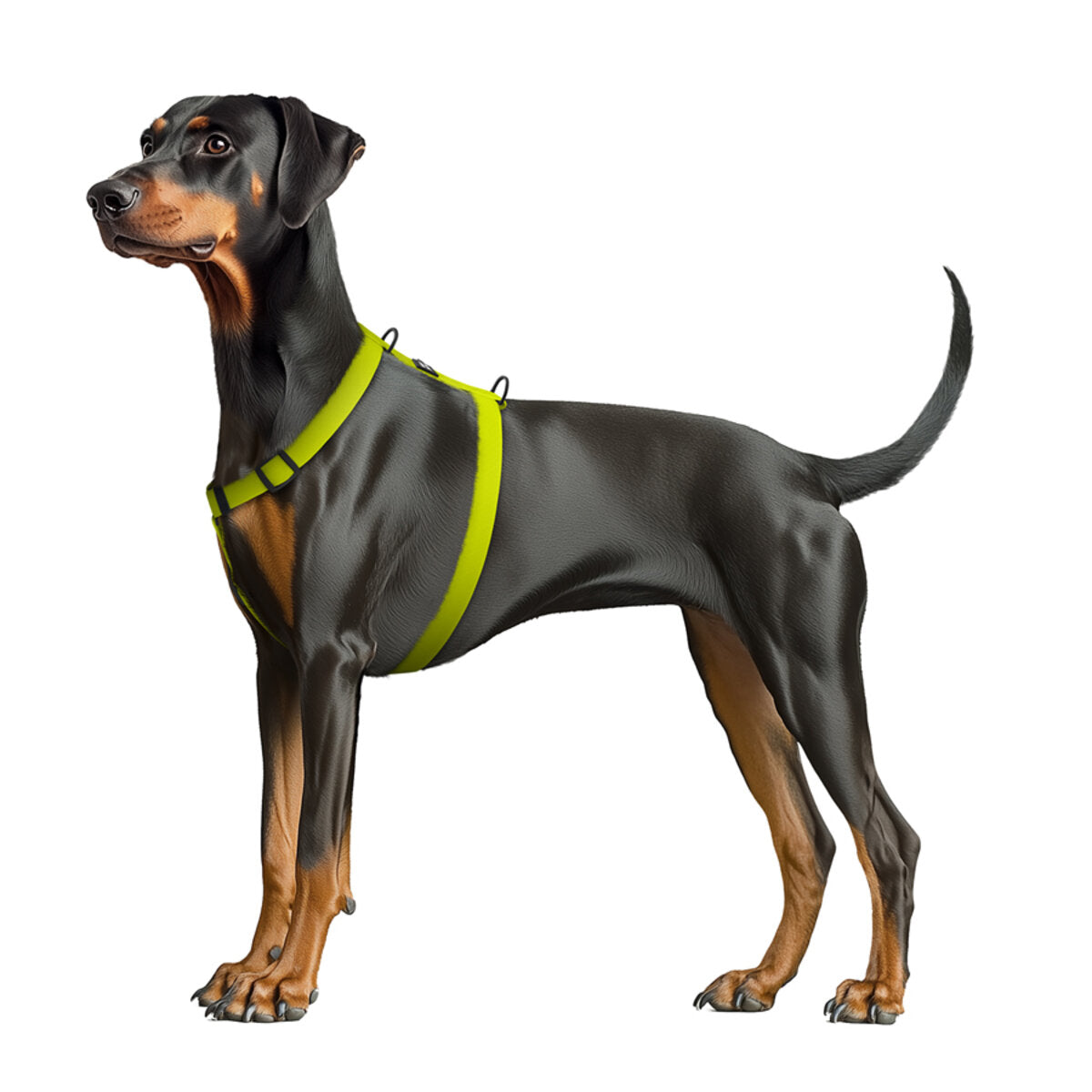 WAUDOG Magnet Dog H-Harness with QR Passport - Lemon