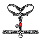 WAUDOG Nylon Dog H-Harness with QR Passport - Zebra