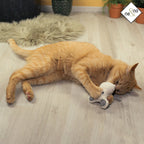 Juguetes para gatos con hierba gatera - Set rellenable (3 juguetes + 9 bolsas de hierba gatera)