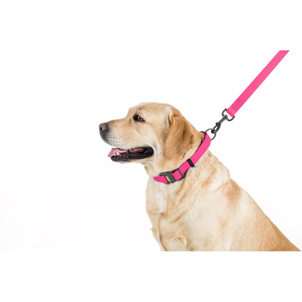 WAUDOG Waterproof Dog Leash - Pink