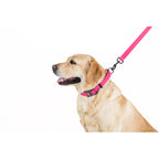 WAUDOG Waterproof Dog Leash - Pink